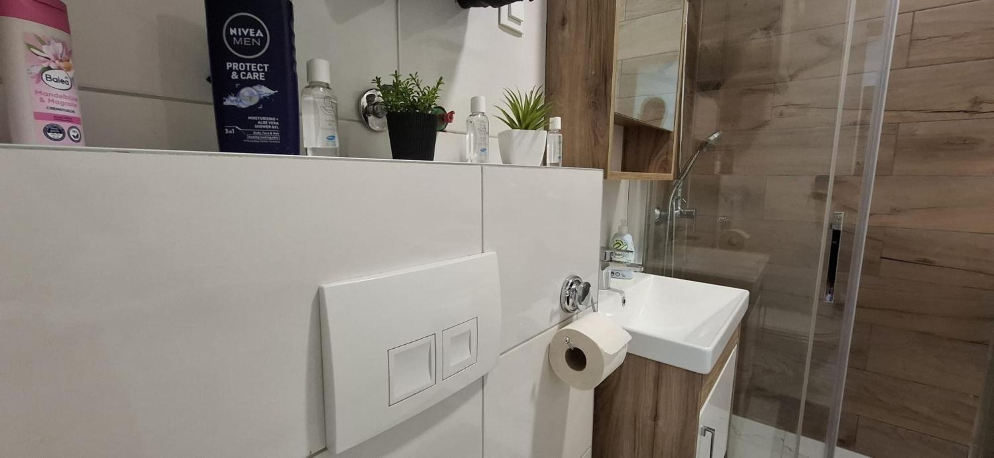 Luxury With Garage - Lejla